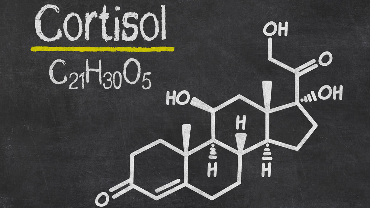 Il cortisolo: l'ormone dello stress | Project inVictus